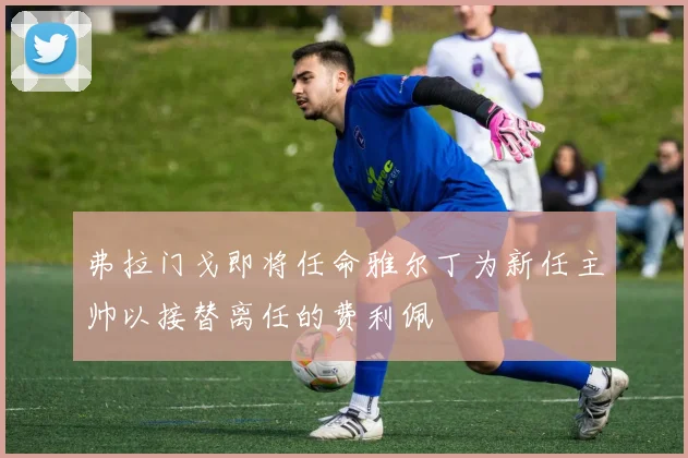 弗拉门戈即将任命雅尔丁为新任主帅以接替离任的费利佩