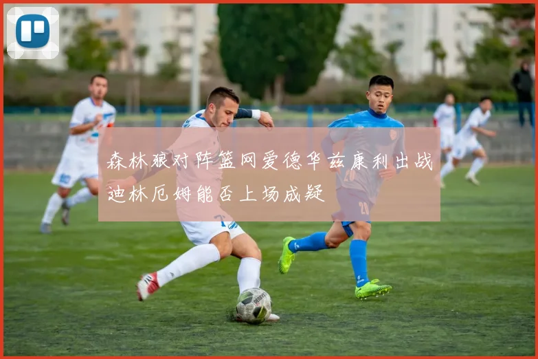 森林狼对阵篮网爱德华兹康利出战迪林厄姆能否上场成疑