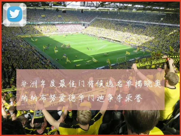非洲年度最佳门将候选名单揭晓奥纳纳布努爱德华门迪争夺荣誉