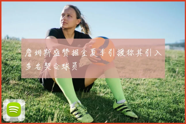 詹姆斯盛赞掘金夏季引援称其引入多名契合球员