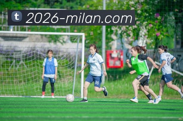 多媒体互动体验